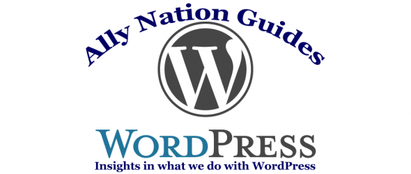 AN-Guides-Wordpress