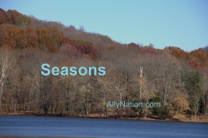 Seasons