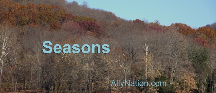 Seasons Seasons