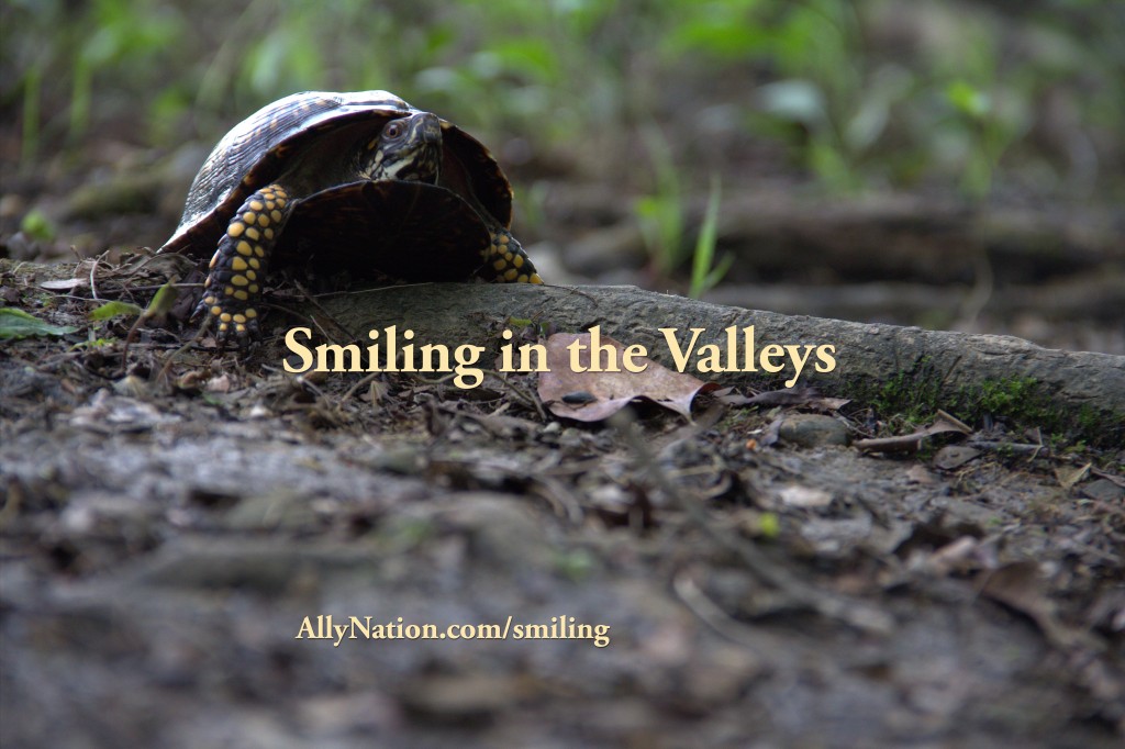 Smiling in the Valleys Ally Nation